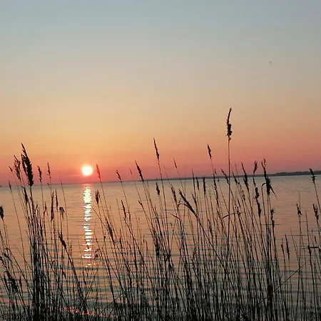 Haus Meerzeit Am Bodden Zw Darss Rügen Mit Kamin&sauna