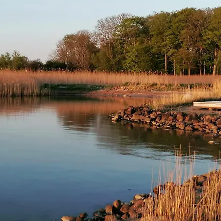 Haus Meerzeit Am Bodden Zw Darss Ruegen Mit Kamin & Sauna