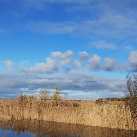 Haus Meerzeit Am Bodden Zw Darss Ruegen Mit Kamin & Sauna * Nisdorf